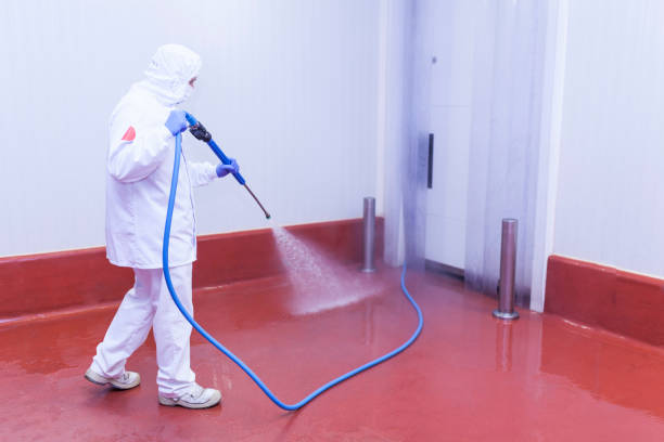 Best Gas Station Cleaning  in Holmes Beach, FL